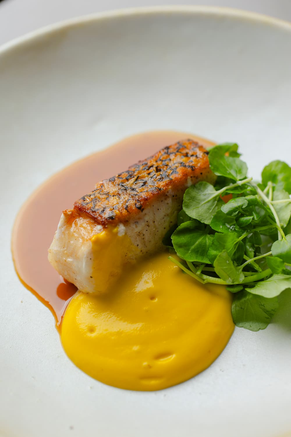 Prato de peixe com purê amarelo e folhas verdes sob luz natural