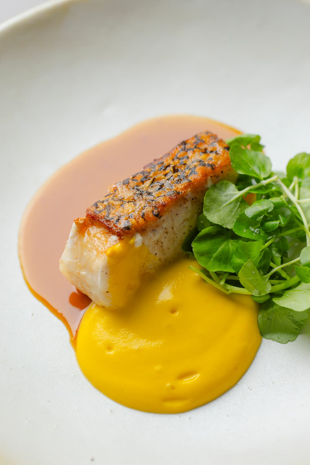 Detalhe de peixe grelhado com purê amarelo em prato claro
