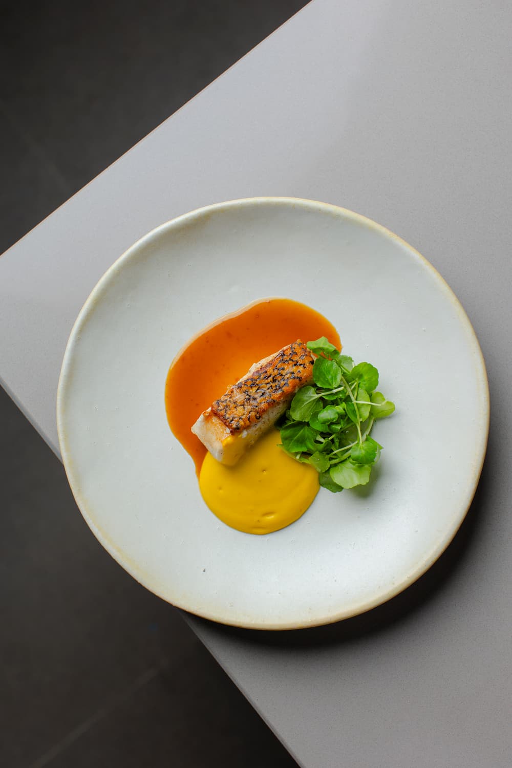 Prato de peixe com purê amarelo visto de cima